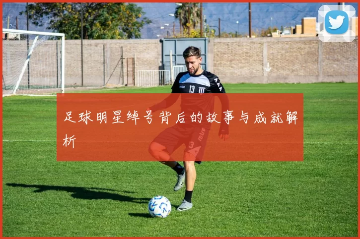 足球明星绰号背后的故事与成就解析