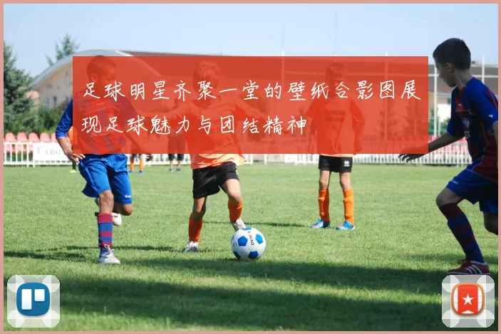 足球明星齐聚一堂的壁纸合影图展现足球魅力与团结精神
