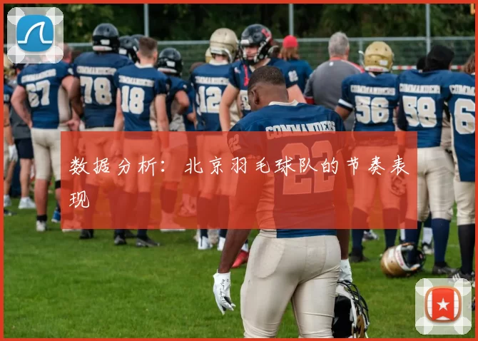 数据分析：北京羽毛球队的节奏表现