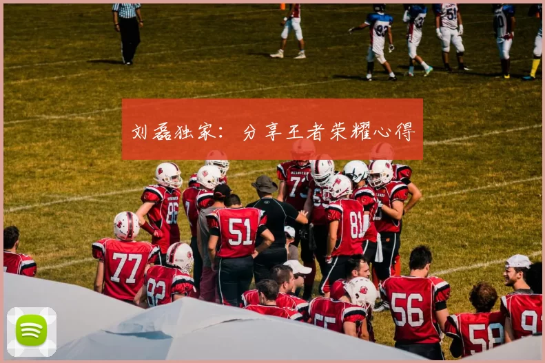 刘磊独家：分享王者荣耀心得