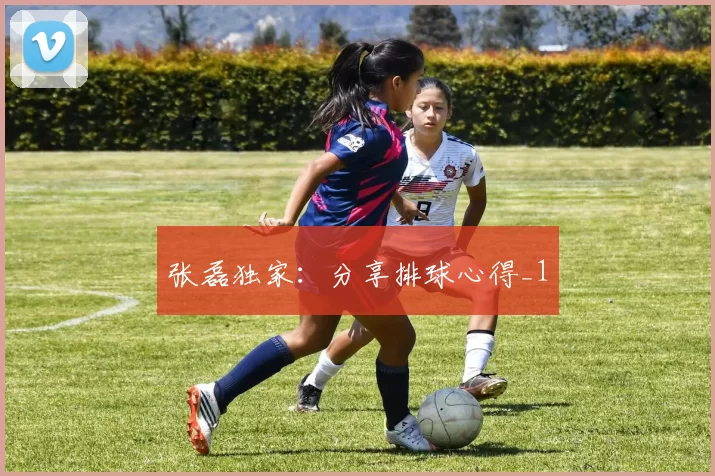 张磊独家：分享排球心得_1