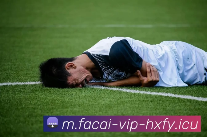 爱游戏体育服务体系